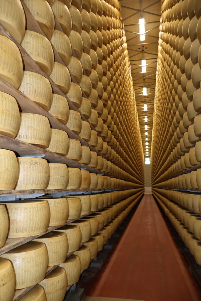 cheese factory