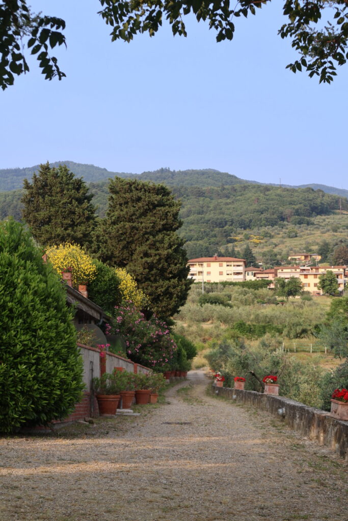 countryside view